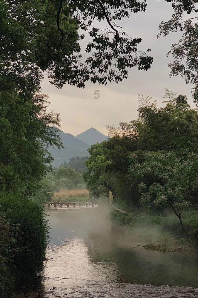 大丛林度假村逃生