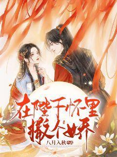 空中战队无敌版